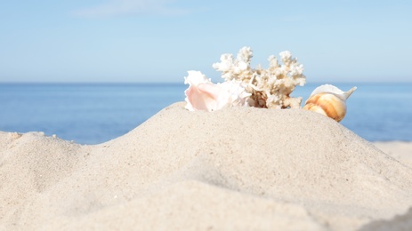 Photo of Sandy beach with beautiful coral and shells near sea. Space for text