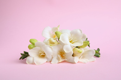 Photo of Beautiful freesia flowers on light pink background