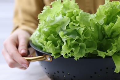 Woman holding black colander with lettuce, closeup