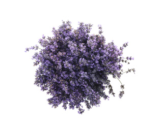Beautiful lavender bouquet isolated on white, top view