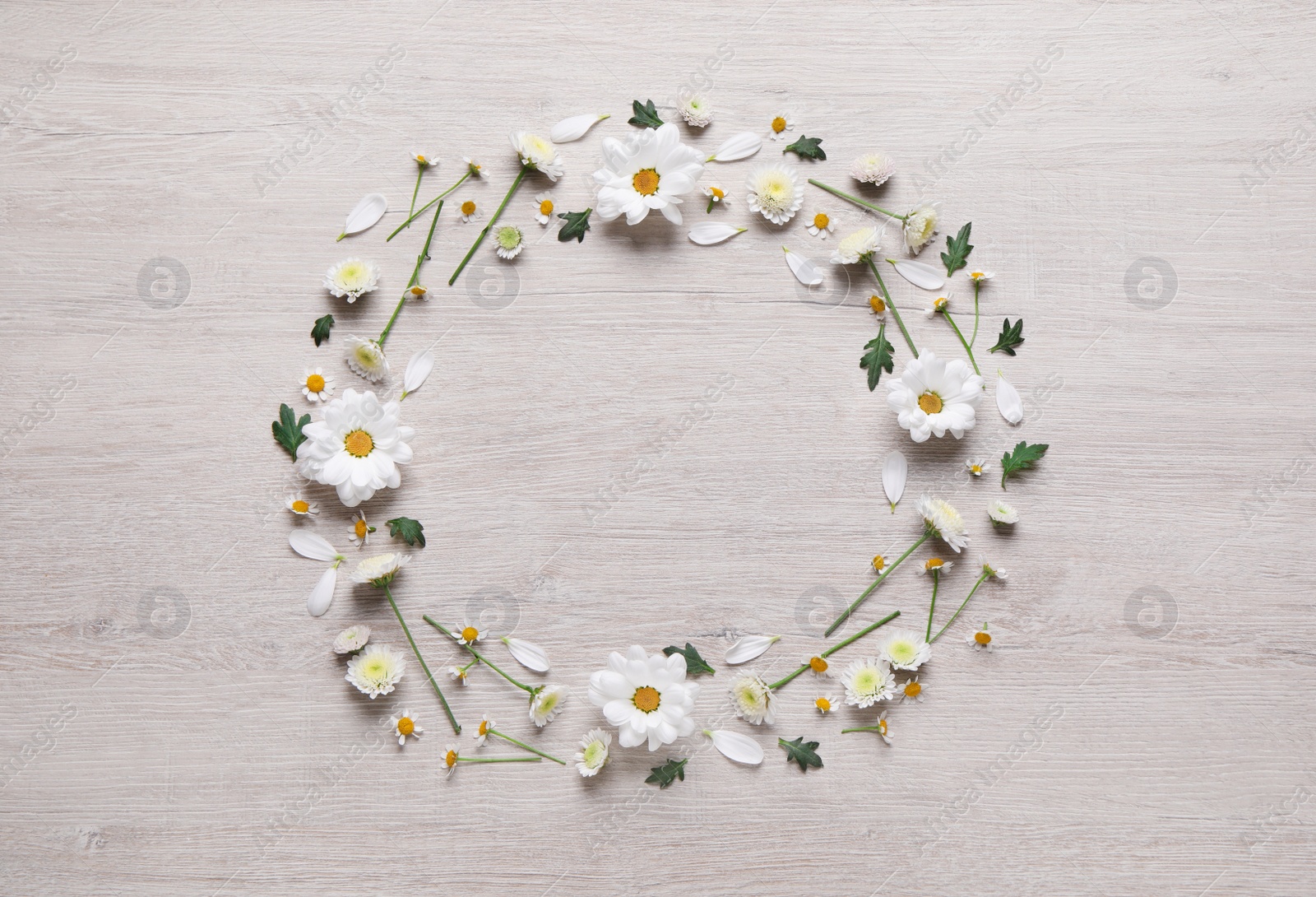 Photo of Wreath made of chamomile flowers and green leaves on white wooden background, flat lay. Space for text