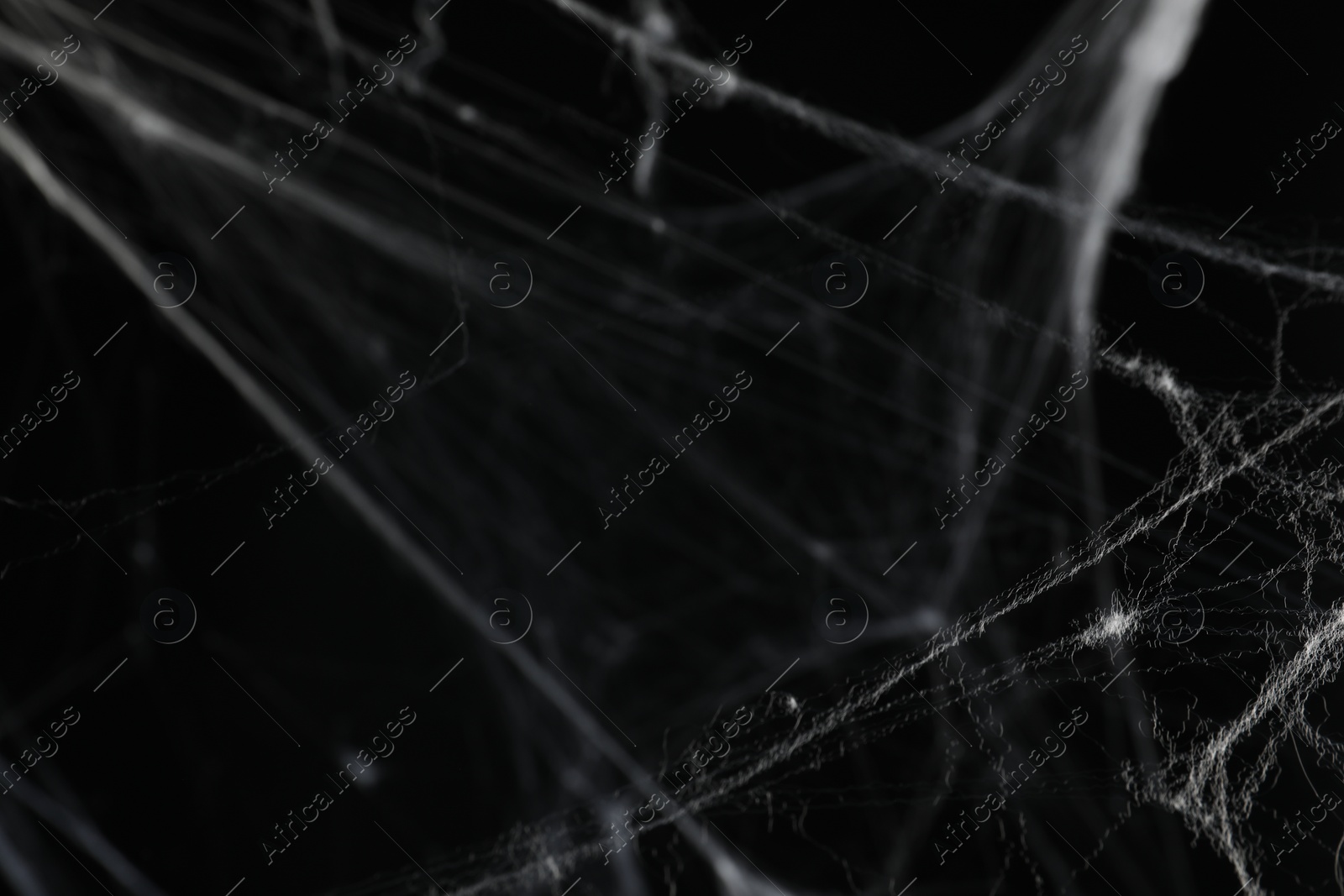 Photo of Creepy white cobweb on black background, closeup