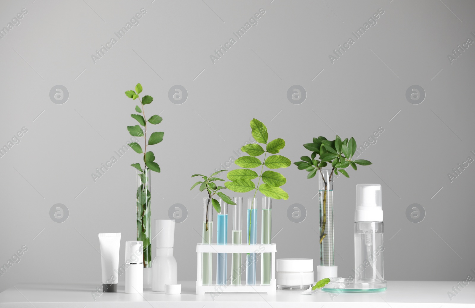 Photo of Many containers and glass tubes with leaves on white table against light grey background