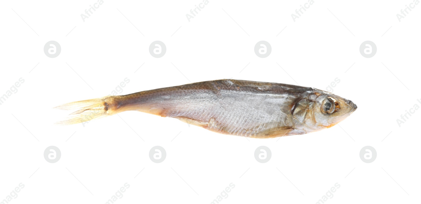 Photo of Tasty dried fish isolated on white. Seafood