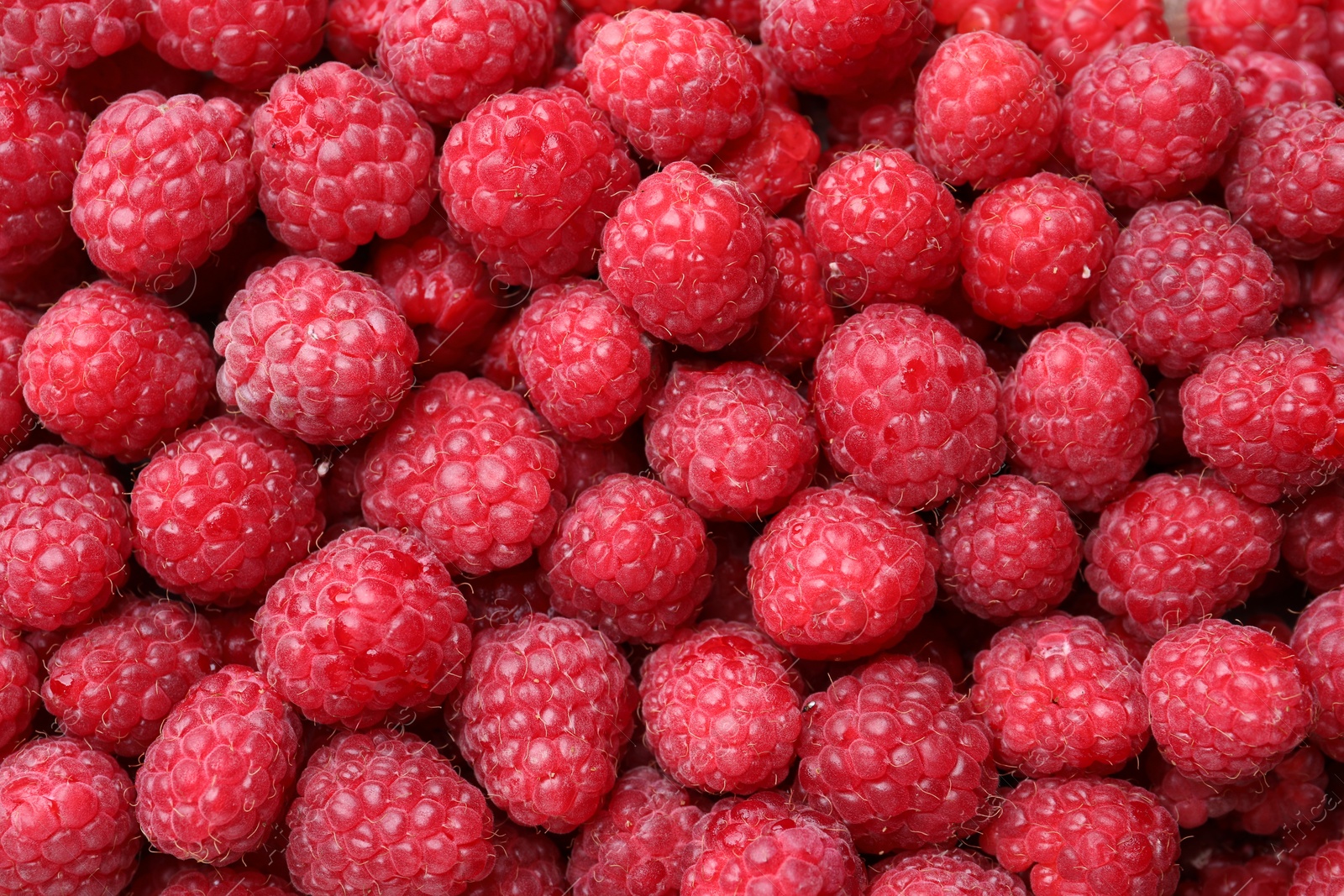 Photo of Heap of tasty ripe raspberries as background, top view