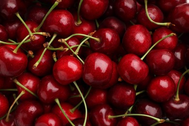 Ripe sweet cherries as background, top view