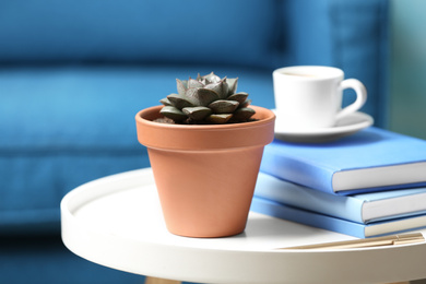 Photo of Beautiful succulent and books on white table indoors. Home plant