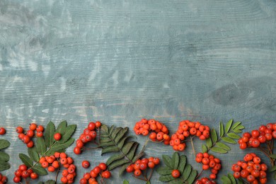 Fresh ripe rowan berries and green leaves on light blue wooden table, flat lay. Space for text