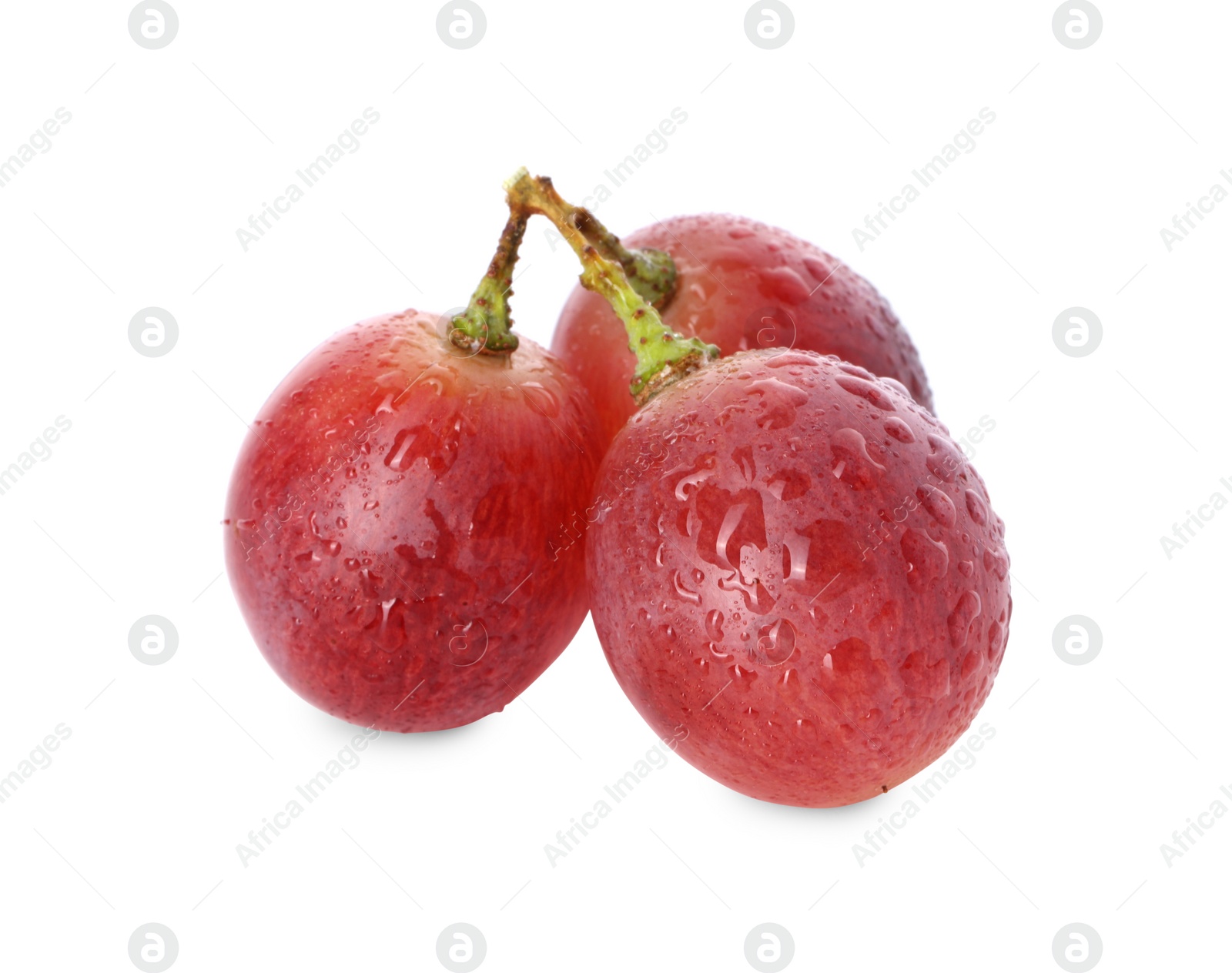Delicious ripe red grapes with water drops isolated on white Photo of Delicious ripe red grapes with water drops isolated on white