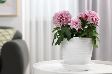 Photo of Beautiful chrysanthemum plant in flower pot on white table in room, space for text