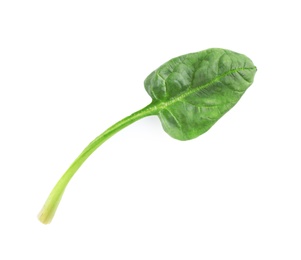 Photo of Fresh leaf of spinach isolated on white, top view