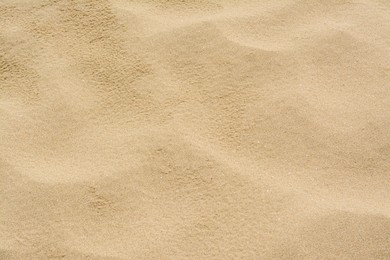 Photo of Texture of sandy beach as background, closeup