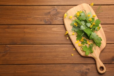 Photo of Celandine with board on wooden table, top view. Space for text