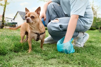 Photo of Woman picking up her dog's poop from green grass in park, closeup