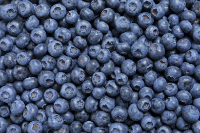 Photo of Tasty fresh blueberries as background, top view