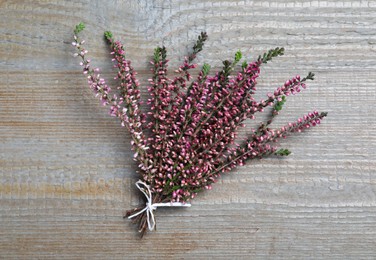 Photo of Bunch of heather branches with beautiful flowers on grey wooden table, top view