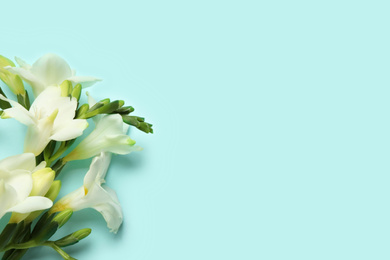 Photo of Beautiful freesia flowers on light blue background, flat lay. Space for text