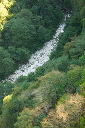 Photo of Beautiful landscape of green forest with mountain river, above view