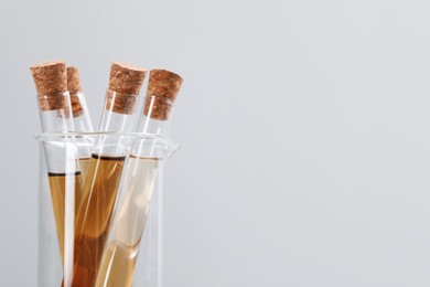 Photo of Test tubes with brown liquid against light background, closeup. Space for text