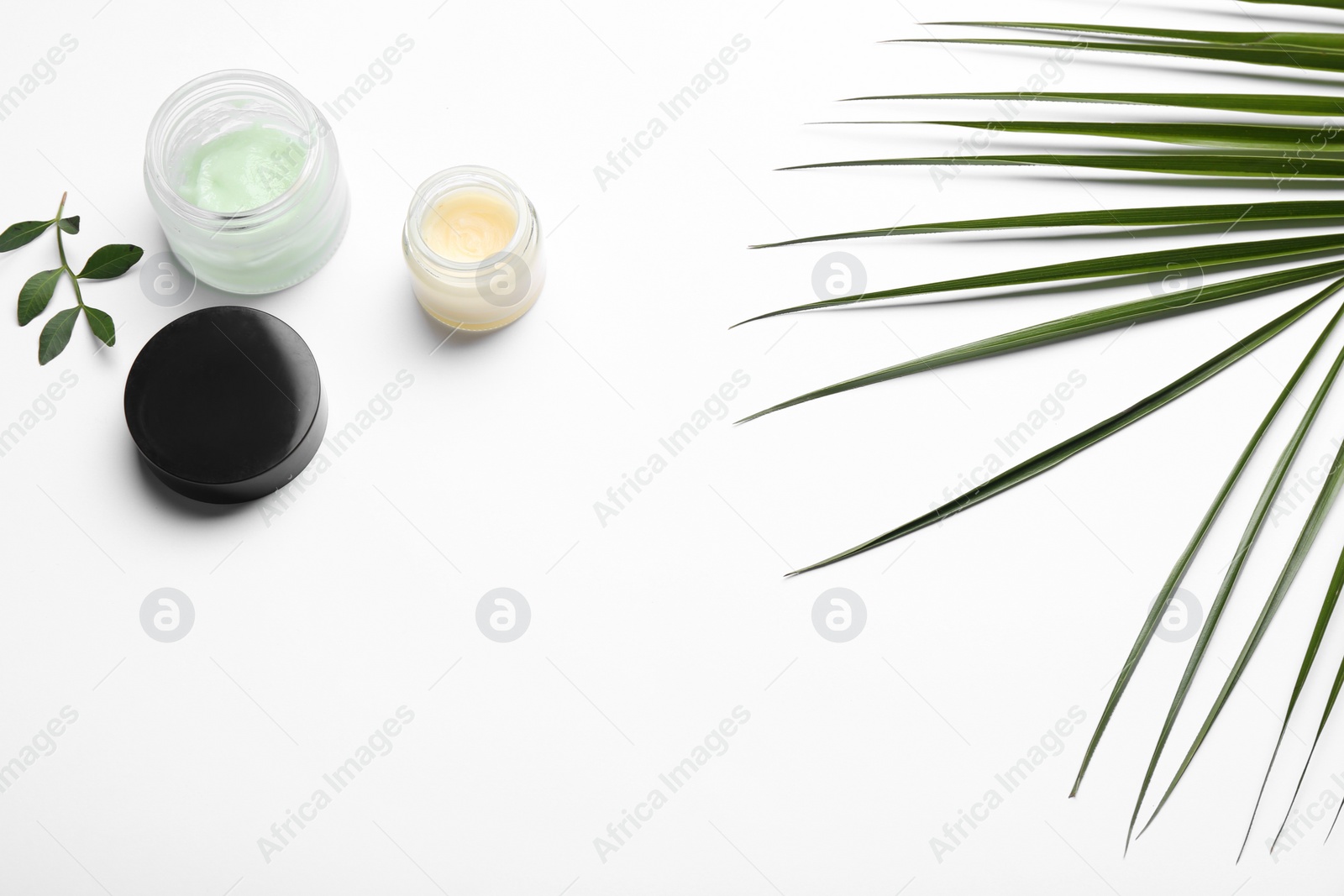 Photo of Jars of cream and leaves on white background