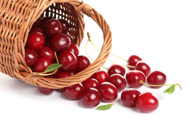 Wicker basket of delicious ripe sweet cherries on white background