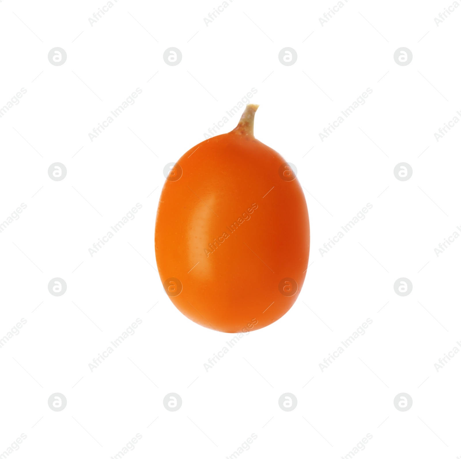 Photo of Fresh ripe sea buckthorn berry isolated on white