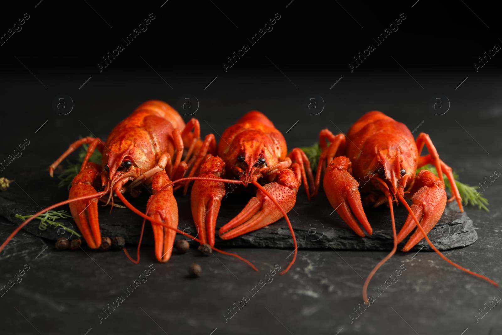 Photo of Delicious boiled crayfishes with dill and pepper on black table, closeup