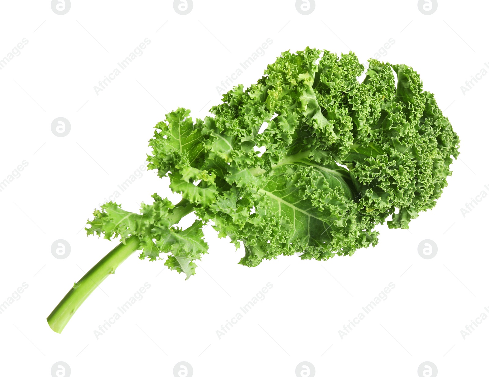 Photo of Fresh green kale leaf isolated on white