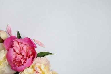 Photo of Beautiful fresh peonies and leaves on light grey background, flat lay. Space for text