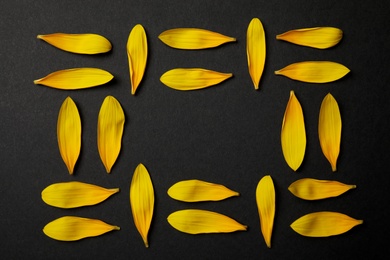 Photo of Fresh yellow sunflower petals on black background, flat lay. Space for text