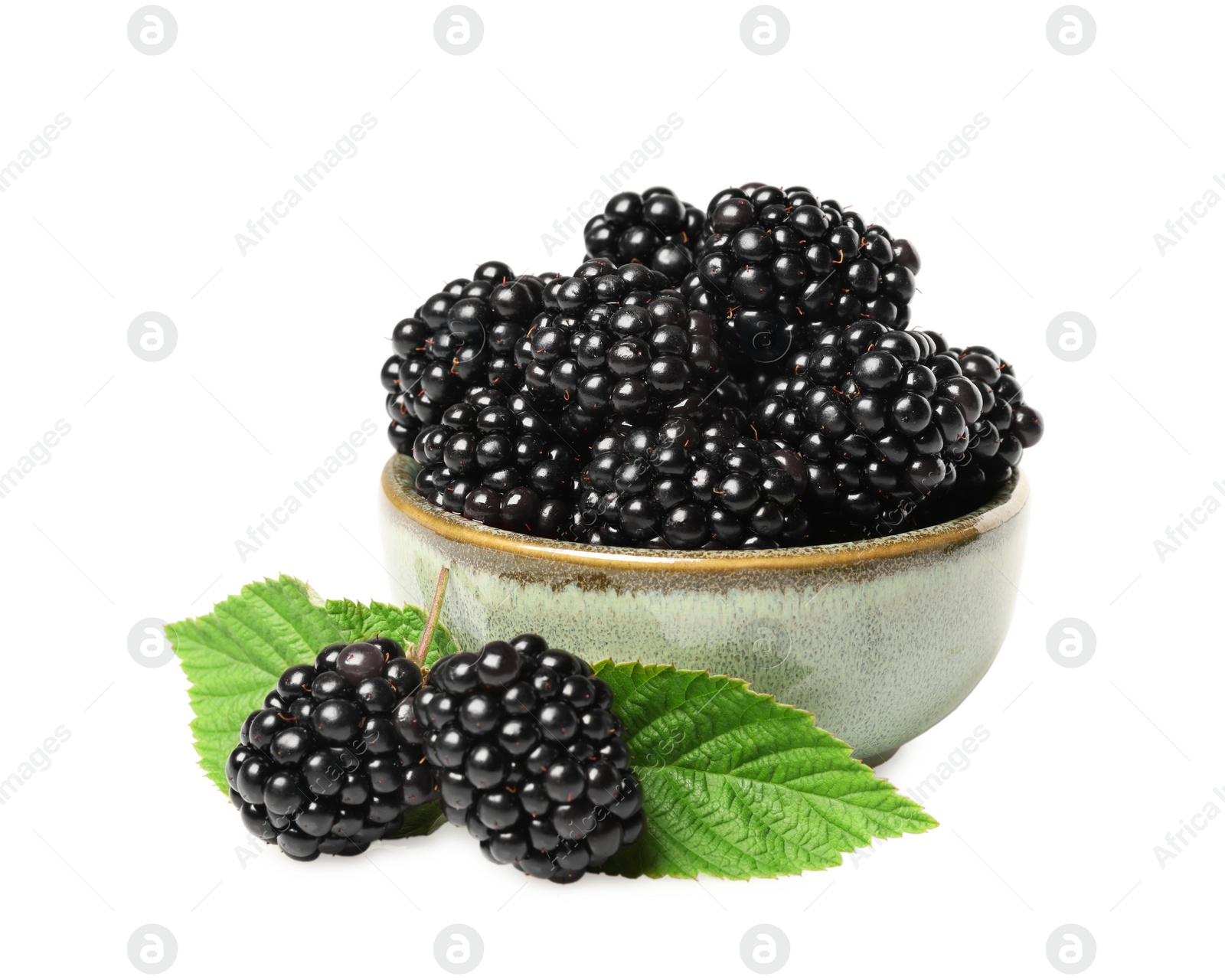 Photo of Bowl of ripe blackberries and green leaves isolated on white