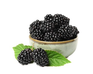 Bowl of ripe blackberries and green leaves isolated on white