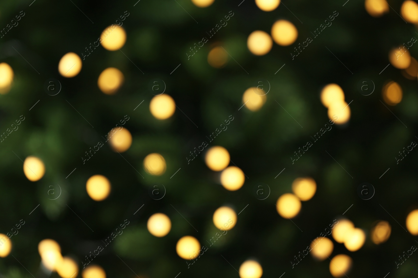 Photo of Abstract background with blurred yellow Christmas lights, bokeh effect