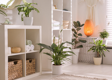 Elegant interior of modern bathroom with green plants