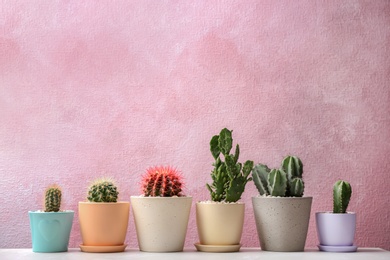 Photo of Beautiful cacti on color background