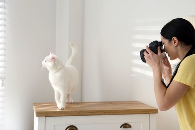 Photo of Professional animal photographer taking picture of beautiful white cat indoors