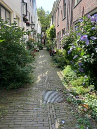 Photo of View of city street with many beautiful green plants