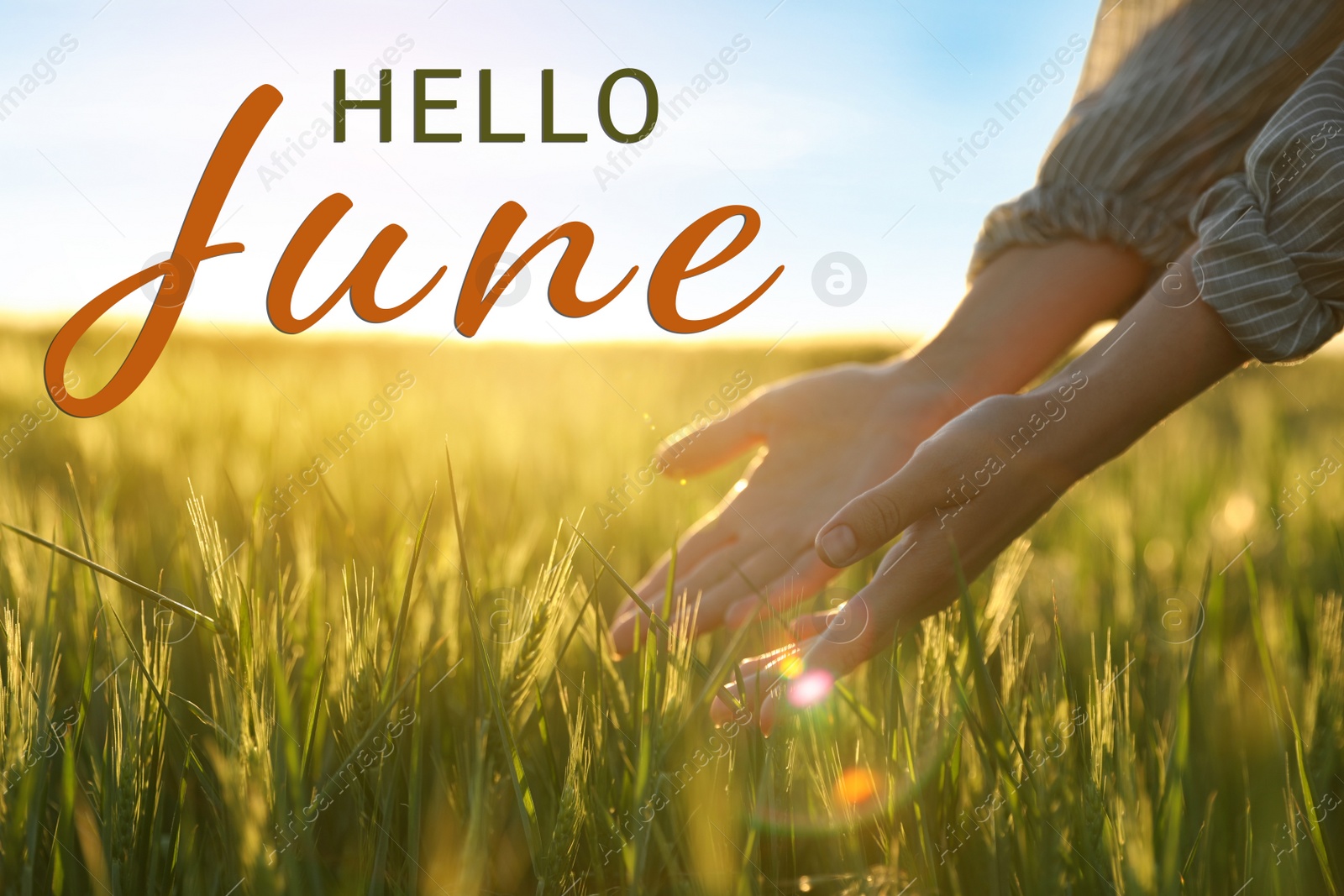 Image of Hello June. Woman in field on sunny day, closeup