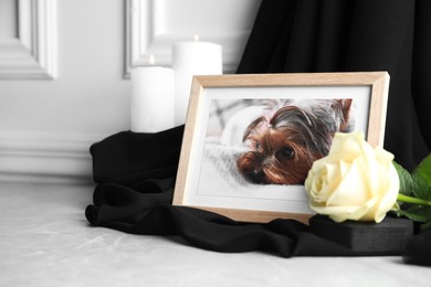 Frame with picture of dog, burning candles and rose flower on light grey table, space for text. Pet funeral