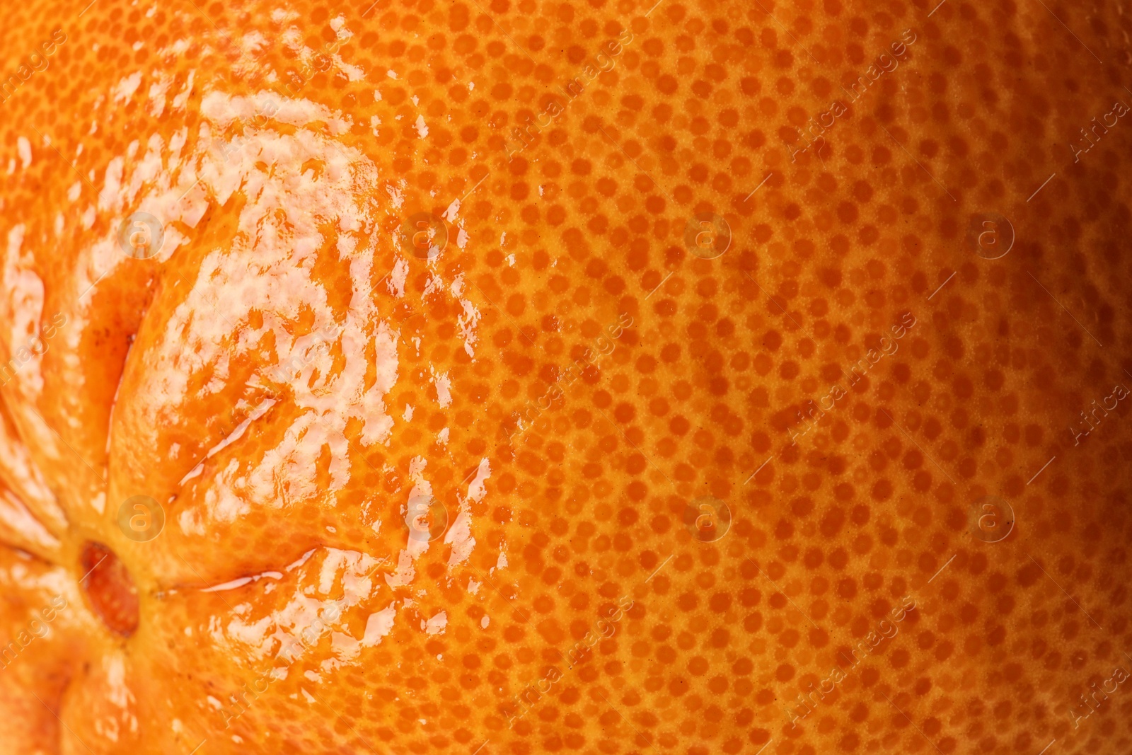 Photo of Ripe orange as background, closeup. Citrus fruit