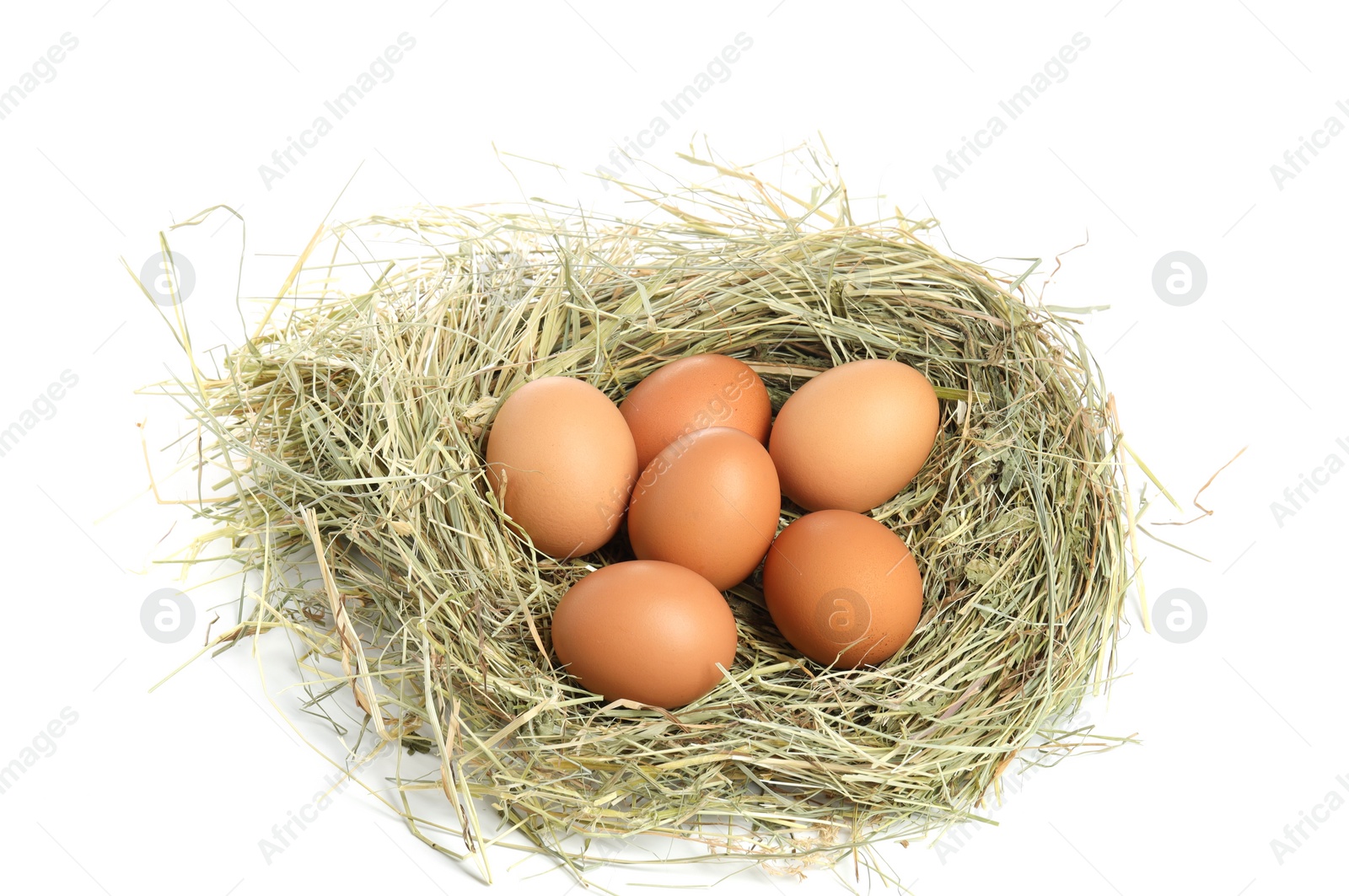 Photo of Chicken eggs in nest isolated on white