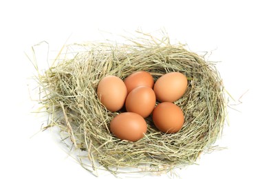 Photo of Chicken eggs in nest isolated on white