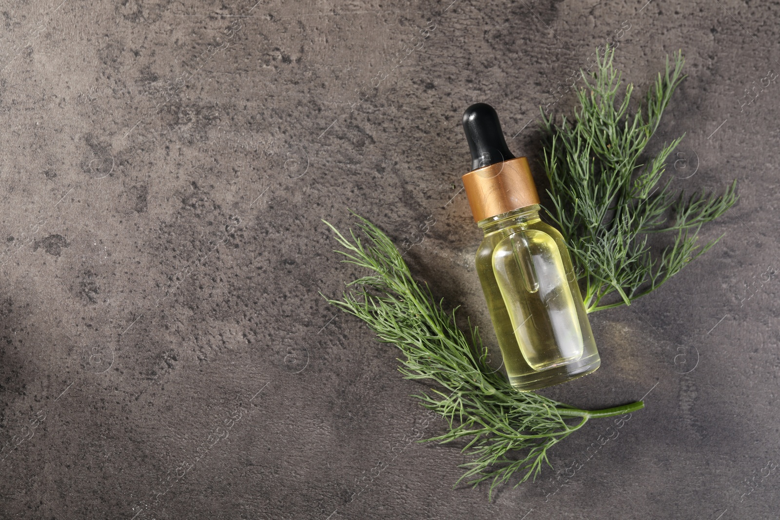 Photo of Bottle of essential oil and fresh dill on grey table, top view. Space for text