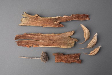 Photo of Tree bark pieces, dry twig and leaves on gray background, flat lay