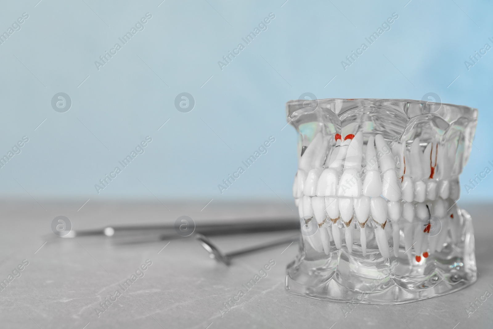 Photo of Educational model of oral cavity and dentist tools on table. Space for text