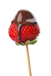 Delicious chocolate covered strawberry on white background