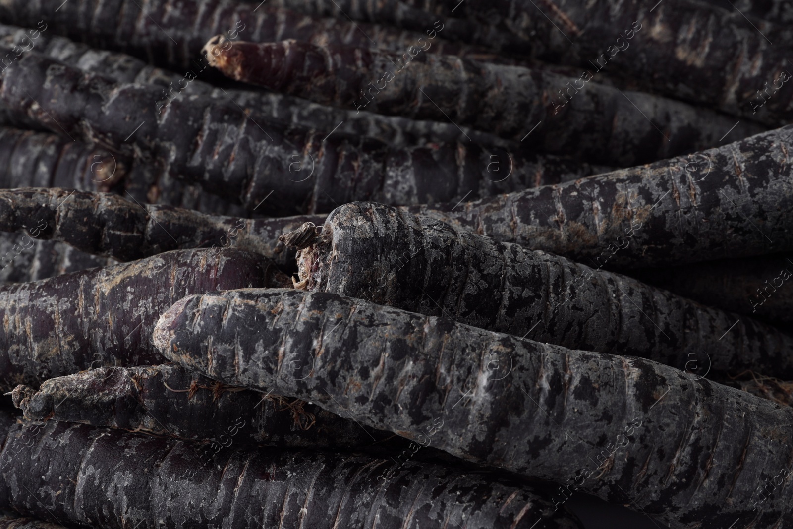 Photo of Fresh raw black carrots as background, closeup