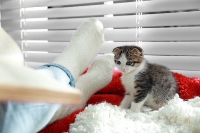 Photo of Adorable little kitten sitting on blanket near owner indoors