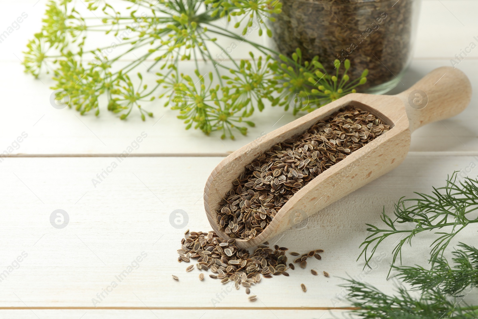 Photo of Dry seeds and fresh dill on white wooden table, space for text