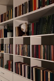 Shelving unit with collection of books and globe. Home library